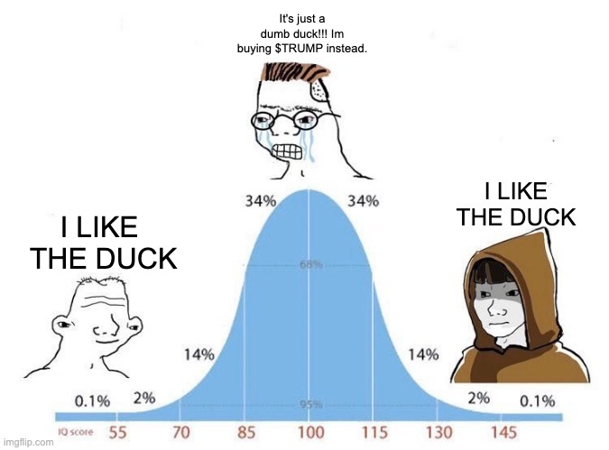 I Like the duck | Trader IQ